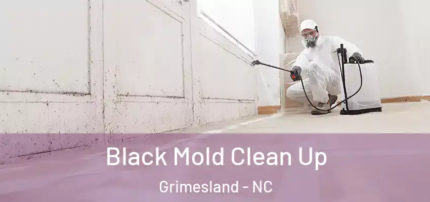 Black Mold Clean Up Grimesland - NC