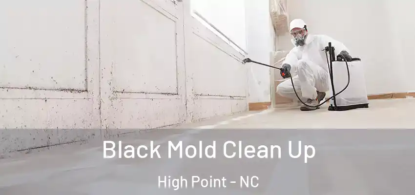 Black Mold Clean Up High Point - NC