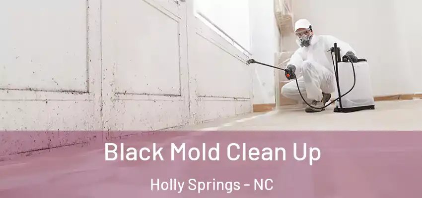 Black Mold Clean Up Holly Springs - NC