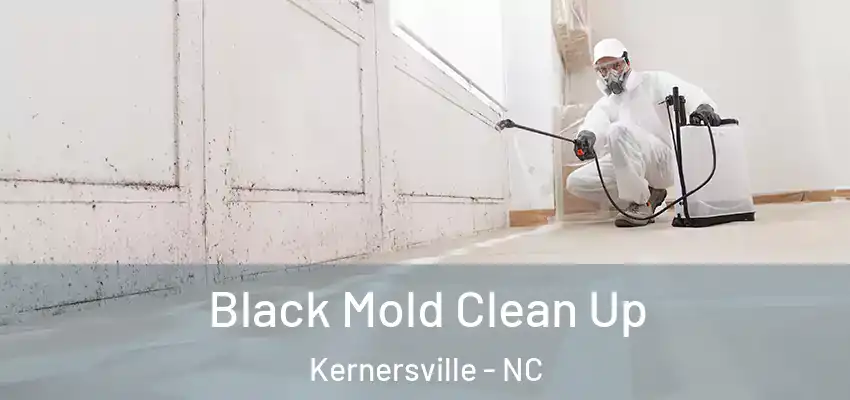 Black Mold Clean Up Kernersville - NC