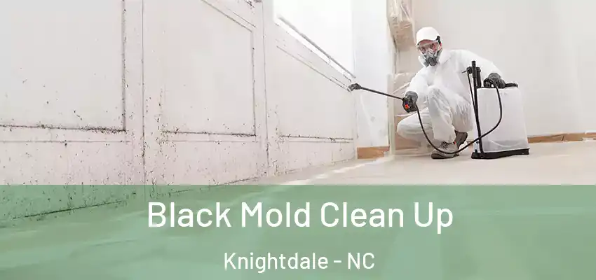  Black Mold Clean Up Knightdale - NC