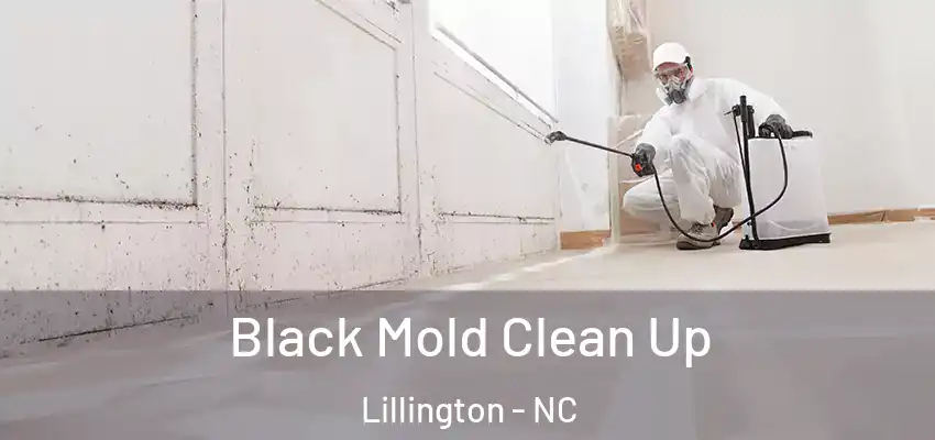 Black Mold Clean Up Lillington - NC