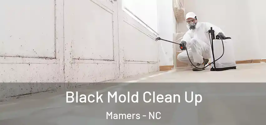 Black Mold Clean Up Mamers - NC