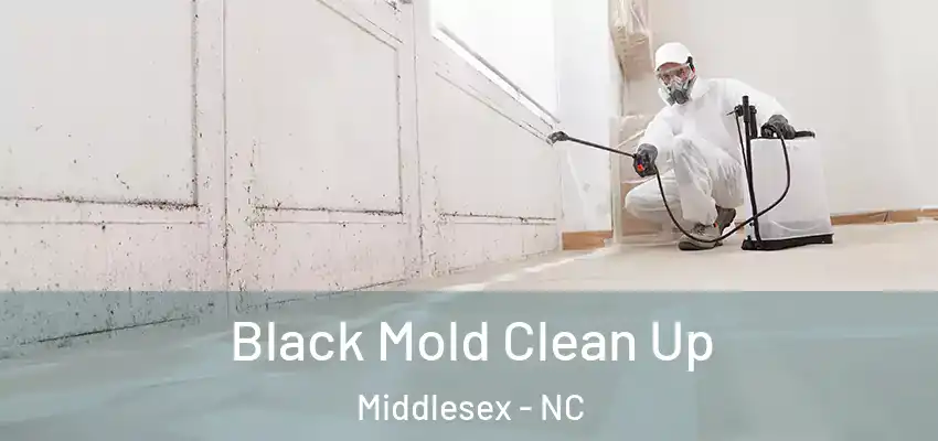 Black Mold Clean Up Middlesex - NC