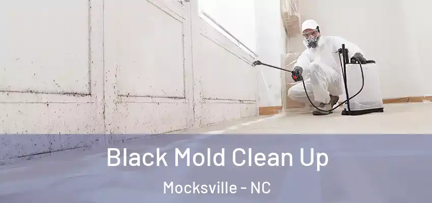 Black Mold Clean Up Mocksville - NC