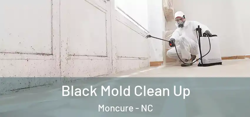  Black Mold Clean Up Moncure - NC