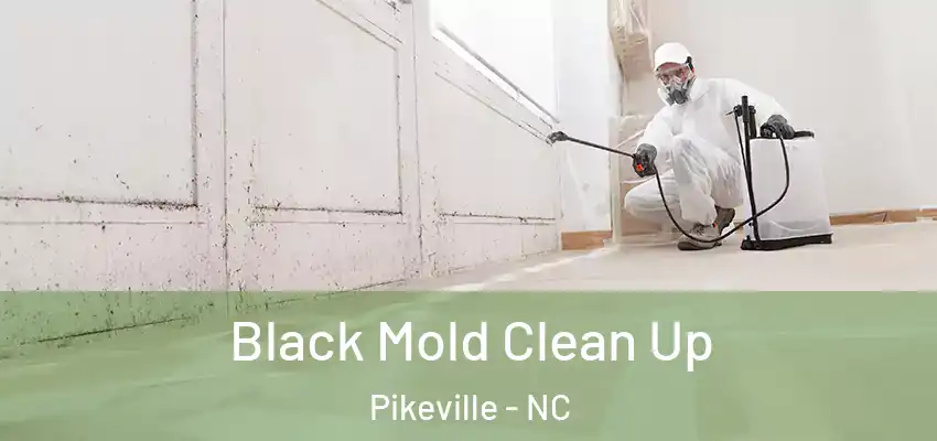  Black Mold Clean Up Pikeville - NC