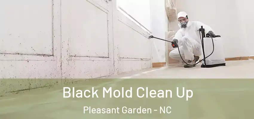 Black Mold Clean Up Pleasant Garden - NC