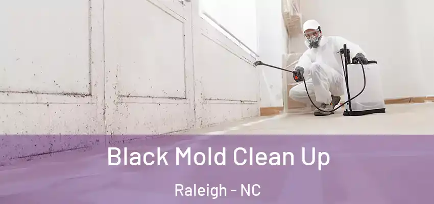 Black Mold Clean Up Raleigh - NC