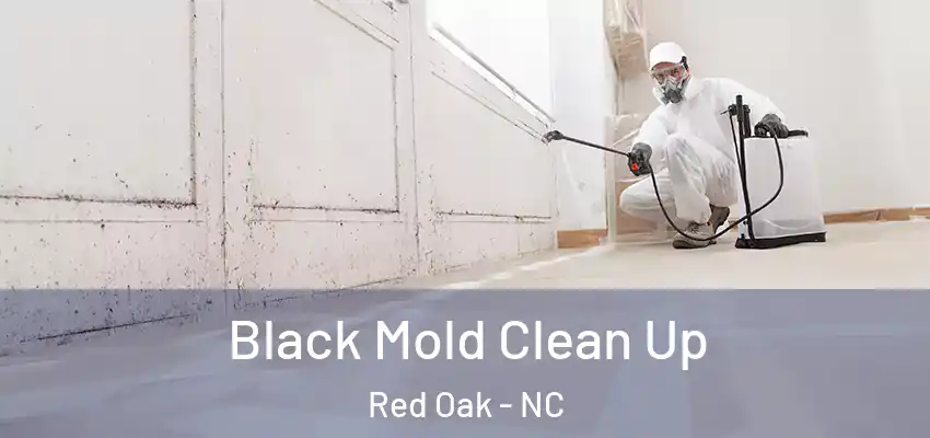  Black Mold Clean Up Red Oak - NC