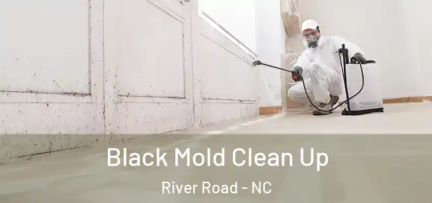  Black Mold Clean Up River Road - NC