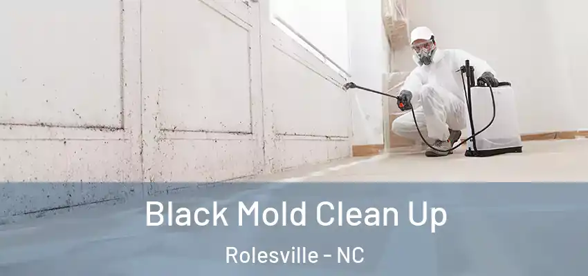 Black Mold Clean Up Rolesville - NC