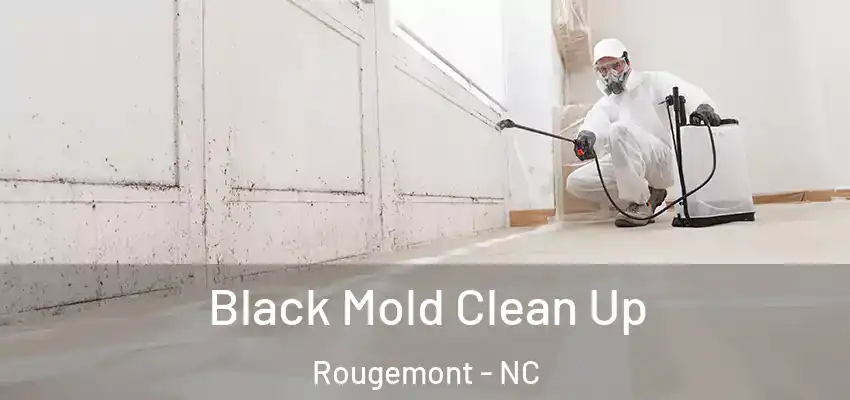 Black Mold Clean Up Rougemont - NC