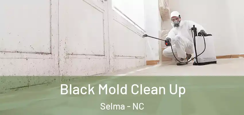  Black Mold Clean Up Selma - NC