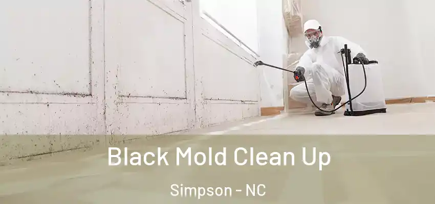 Black Mold Clean Up Simpson - NC