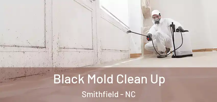 Black Mold Clean Up Smithfield - NC