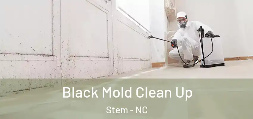 Black Mold Clean Up Stem - NC