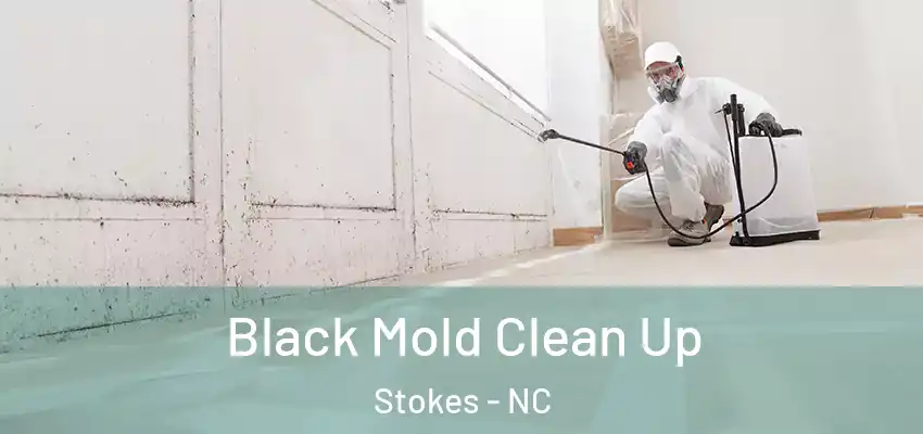 Black Mold Clean Up Stokes - NC