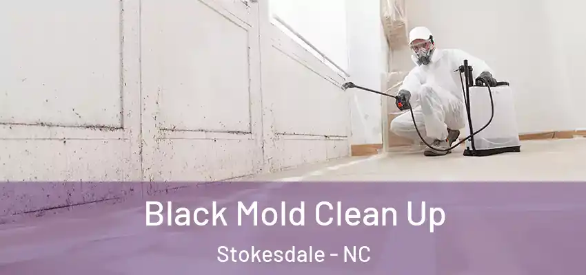  Black Mold Clean Up Stokesdale - NC