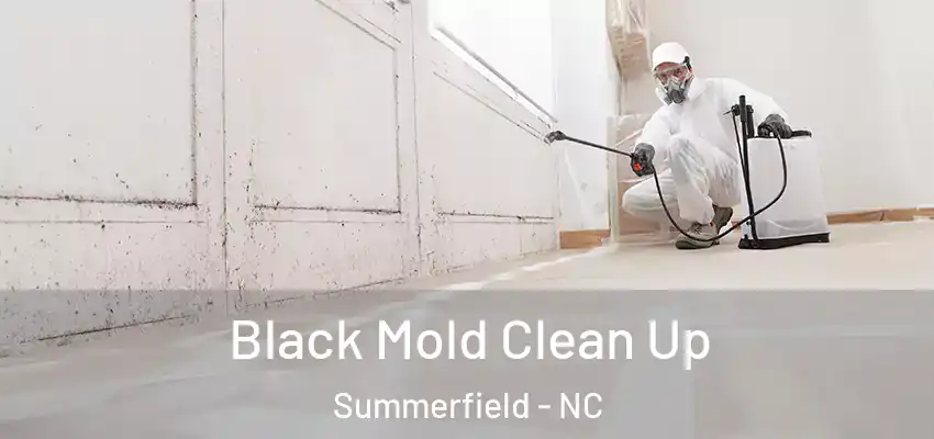  Black Mold Clean Up Summerfield - NC