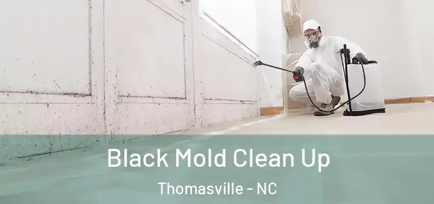  Black Mold Clean Up Thomasville - NC