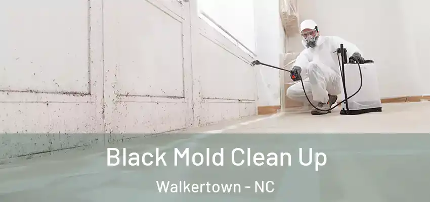  Black Mold Clean Up Walkertown - NC