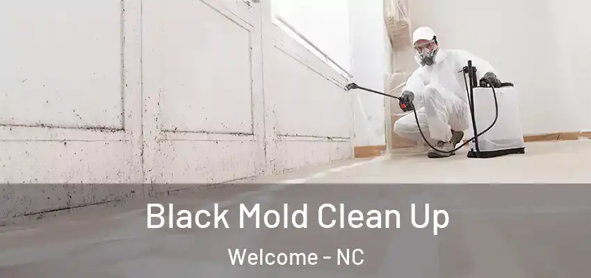 Black Mold Clean Up Welcome - NC