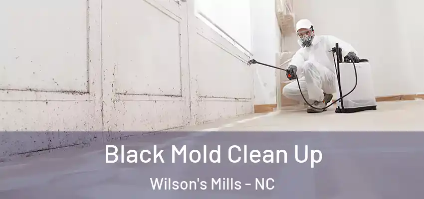 Black Mold Clean Up Wilson's Mills - NC