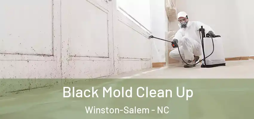  Black Mold Clean Up Winston-Salem - NC