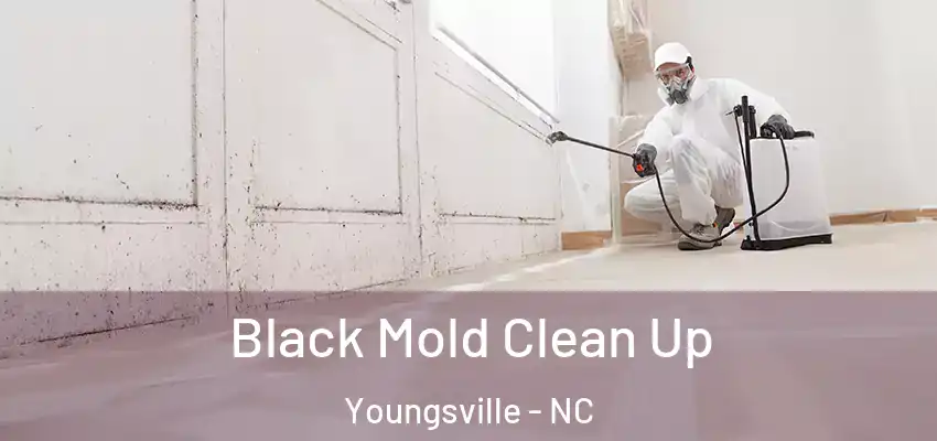 Black Mold Clean Up Youngsville - NC