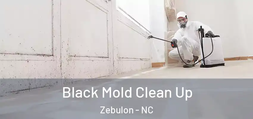 Black Mold Clean Up Zebulon - NC