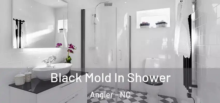  Black Mold In Shower Angier - NC