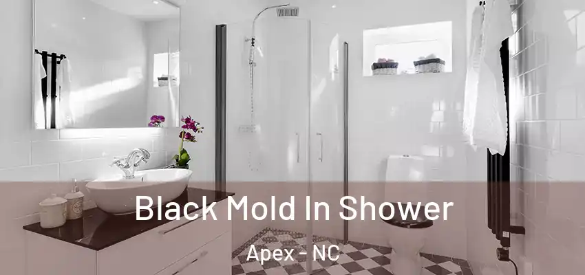  Black Mold In Shower Apex - NC
