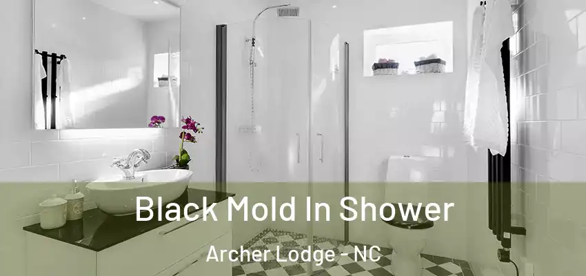  Black Mold In Shower Archer Lodge - NC