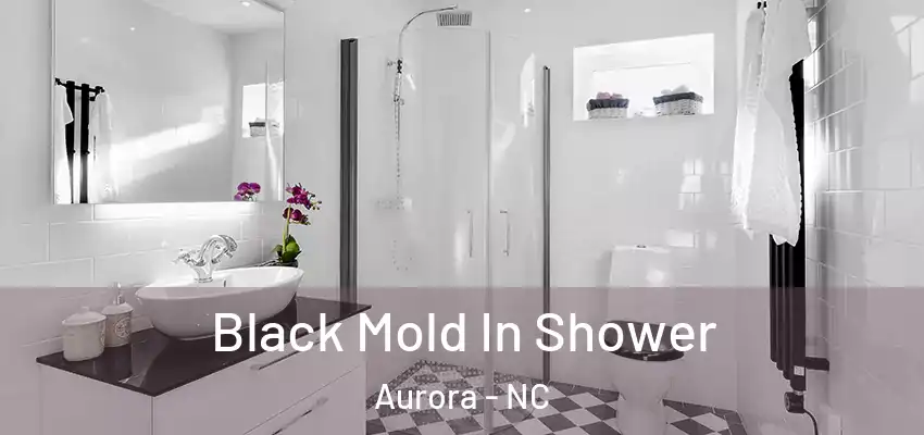 Black Mold In Shower Aurora - NC