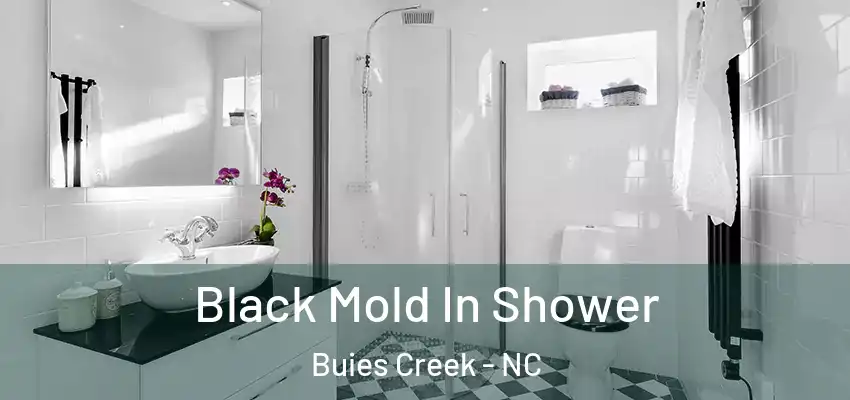 Black Mold In Shower Buies Creek - NC