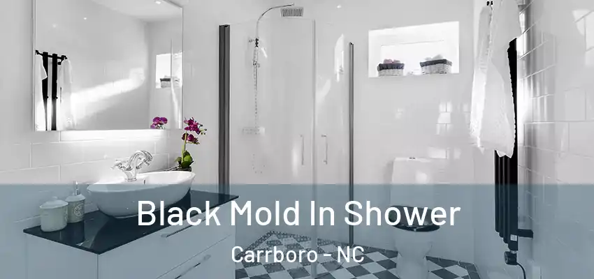  Black Mold In Shower Carrboro - NC