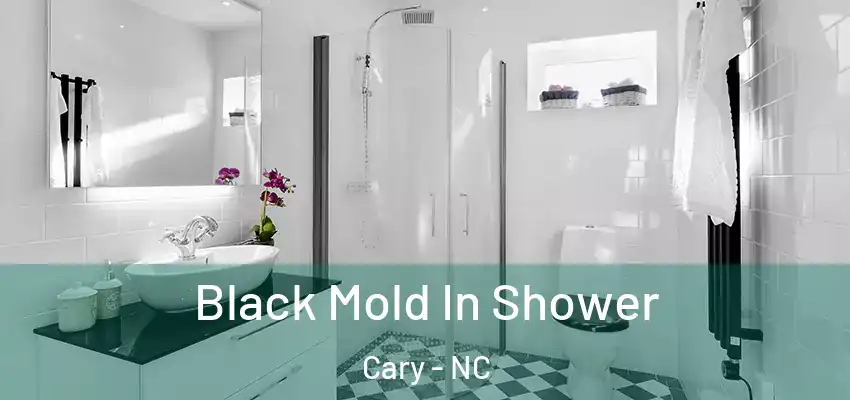 Black Mold In Shower Cary - NC