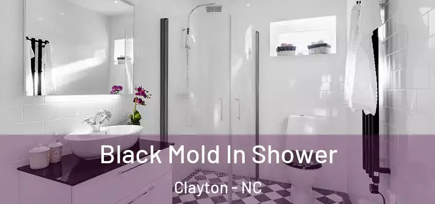  Black Mold In Shower Clayton - NC