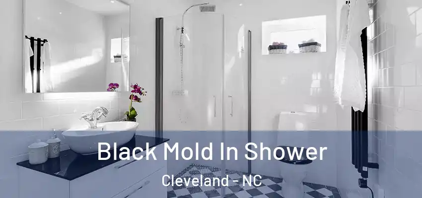  Black Mold In Shower Cleveland - NC
