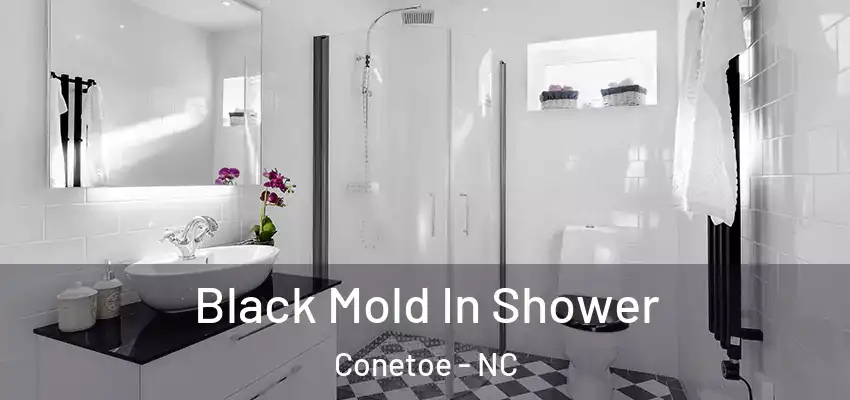  Black Mold In Shower Conetoe - NC