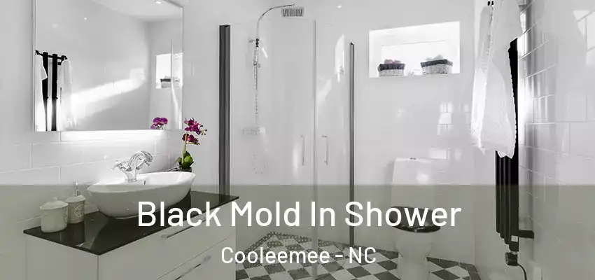 Black Mold In Shower Cooleemee - NC