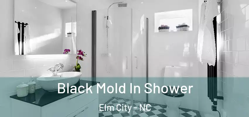 Black Mold In Shower Elm City - NC