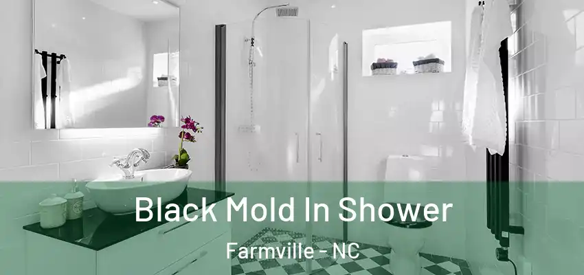 Black Mold In Shower Farmville - NC