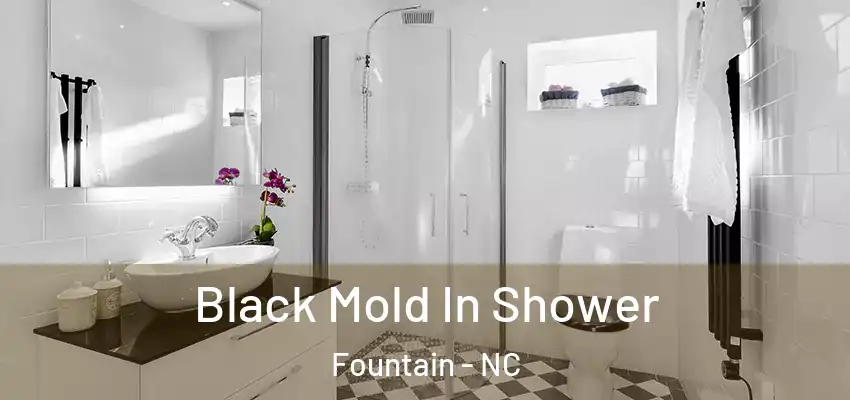 Black Mold In Shower Fountain - NC
