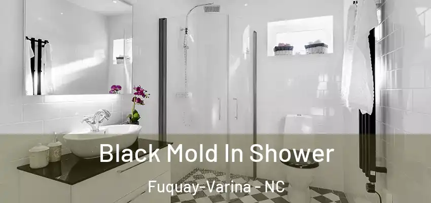Black Mold In Shower Fuquay-Varina - NC
