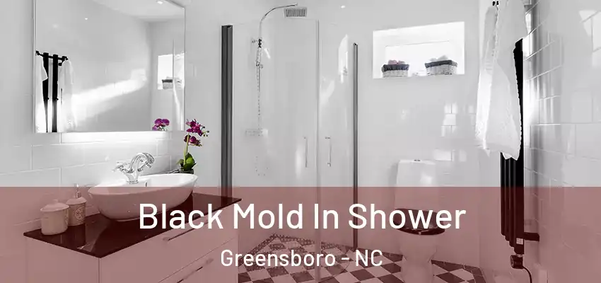 Black Mold In Shower Greensboro - NC