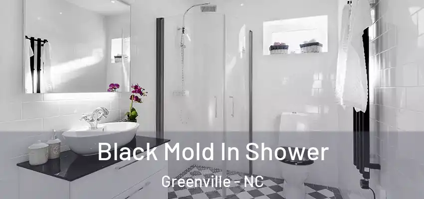  Black Mold In Shower Greenville - NC