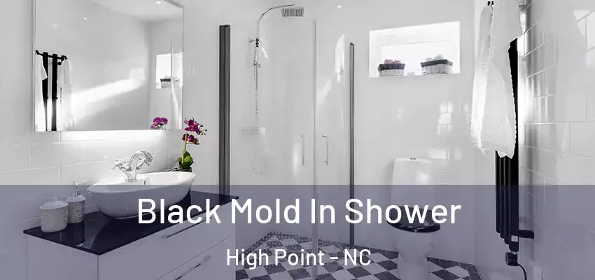  Black Mold In Shower High Point - NC