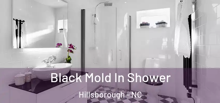 Black Mold In Shower Hillsborough - NC
